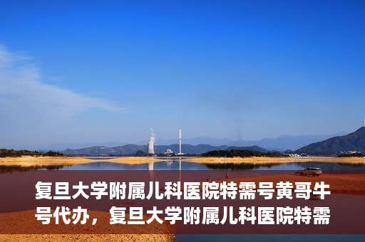 复旦大学附属儿科医院特需号黄哥牛号代办，复旦大学附属儿科医院特需号代办服务解析，黄哥牛号代办揭秘