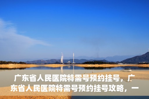 广东省人民医院特需号预约挂号，广东省人民医院特需号预约挂号攻略，一站式解决您的挂号需求