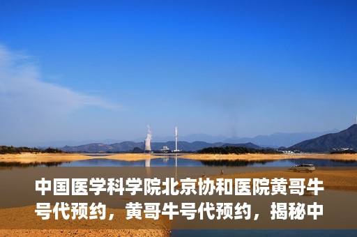 中国医学科学院北京协和医院黄哥牛号代预约，黄哥牛号代预约，揭秘中国医学科学院北京协和医院挂号秘籍