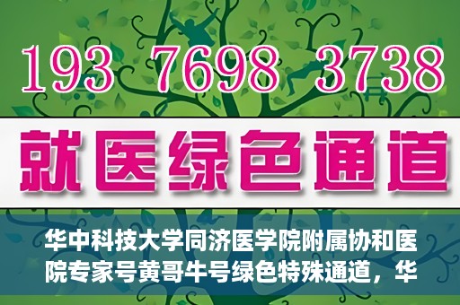 华中科技大学同济医学院附属协和医院专家号黄哥牛号绿色特殊通道，华中科技大学同济医学院附属协和医院专家号黄哥牛号，绿色特殊通道揭秘