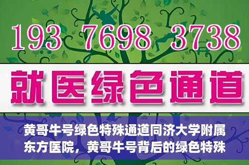 黄哥牛号绿色特殊通道同济大学附属东方医院，黄哥牛号背后的绿色特殊通道，同济大学附属东方医院的探索与实践