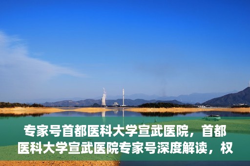 专家号首都医科大学宣武医院，首都医科大学宣武医院专家号深度解读，权威医疗解读与前沿医疗技术探讨