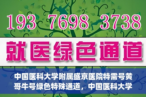 中国医科大学附属盛京医院特需号黄哥牛号绿色特殊通道，中国医科大学附属盛京医院特需号黄哥牛号，绿色特殊通道揭秘