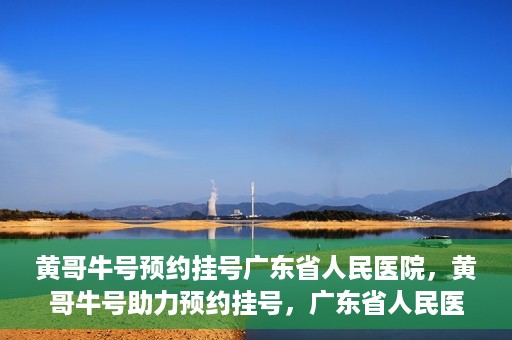 黄哥牛号预约挂号广东省人民医院，黄哥牛号助力预约挂号，广东省人民医院便捷就医新体验