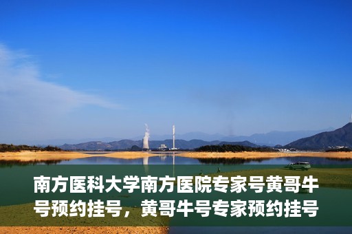 南方医科大学南方医院专家号黄哥牛号预约挂号，黄哥牛号专家预约挂号指南，南方医科大学南方医院权威专家号预约攻略