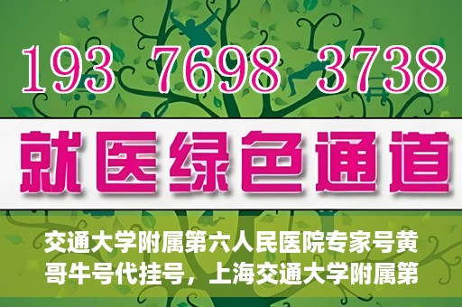 交通大学附属第六人民医院专家号黄哥牛号代挂号，上海交通大学附属第六人民医院专家号代挂号服务解析——黄哥牛号挂号攻略