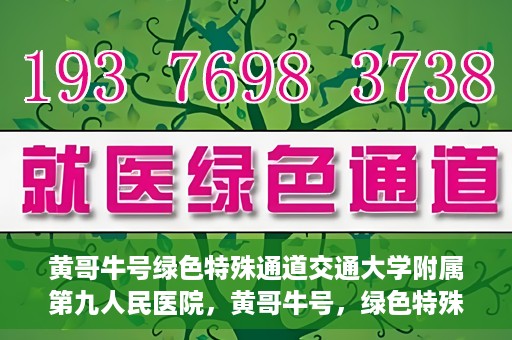 黄哥牛号绿色特殊通道交通大学附属第九人民医院，黄哥牛号，绿色特殊通道下的交通大学附属第九人民医院新篇章