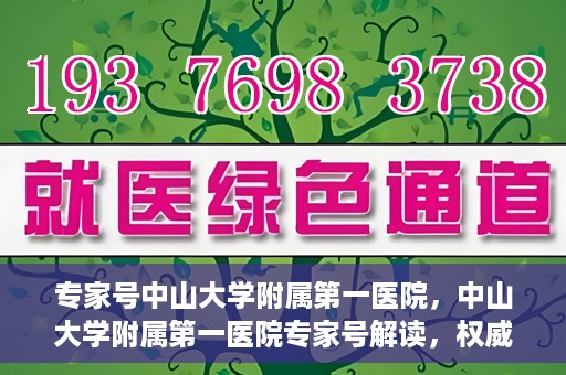 专家号中山大学附属第一医院，中山大学附属第一医院专家号解读，权威医疗观点与深度洞察