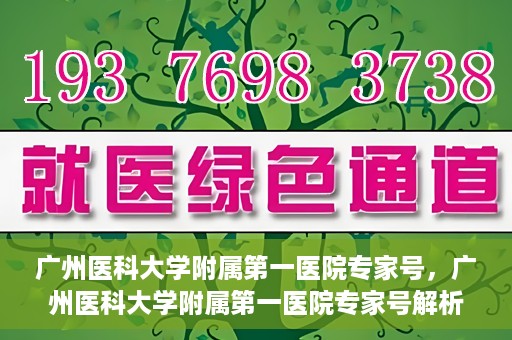 广州医科大学附属第一医院专家号，广州医科大学附属第一医院专家号解析，名医汇聚，专业诊疗新高度
