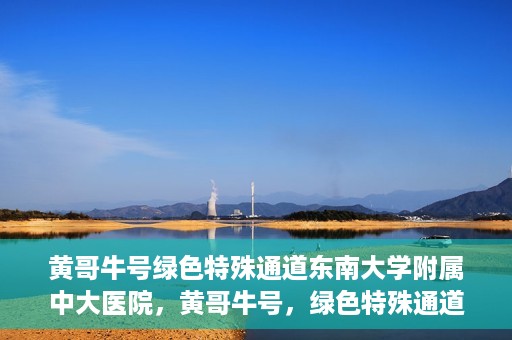 黄哥牛号绿色特殊通道东南大学附属中大医院，黄哥牛号，绿色特殊通道下的中大医院探索