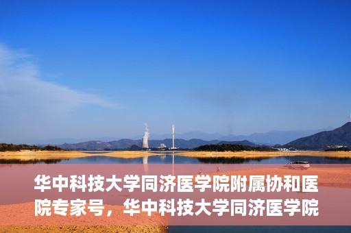 华中科技大学同济医学院附属协和医院专家号，华中科技大学同济医学院附属协和医院专家号解析，权威医疗团队的专业解读与诊疗服务