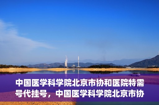 中国医学科学院北京市协和医院特需号代挂号，中国医学科学院北京市协和医院特需号挂号攻略，一站式解决您的预约难题