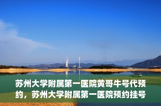 苏州大学附属第一医院黄哥牛号代预约，苏州大学附属第一医院预约挂号新动向，黄哥牛号代预约服务亮相