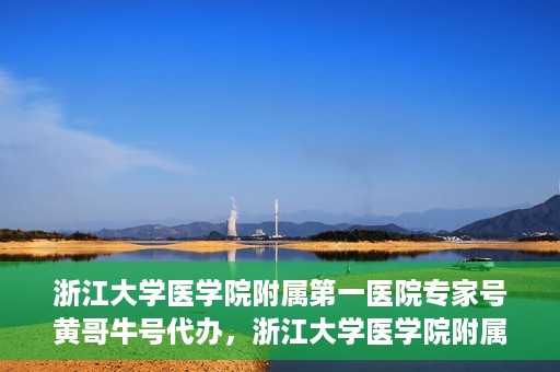 浙江大学医学院附属第一医院专家号黄哥牛号代办，浙江大学医学院附属第一医院专家号代办服务揭秘，黄哥牛号助您轻松预约专家号