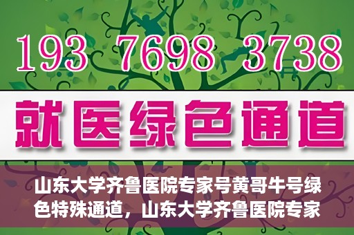 山东大学齐鲁医院专家号黄哥牛号绿色特殊通道，山东大学齐鲁医院专家黄哥牛号，绿色特殊通道揭秘