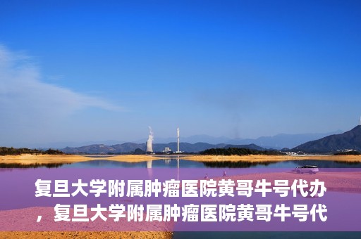 复旦大学附属肿瘤医院黄哥牛号代办，复旦大学附属肿瘤医院黄哥牛号代办，真相揭秘与深度解析