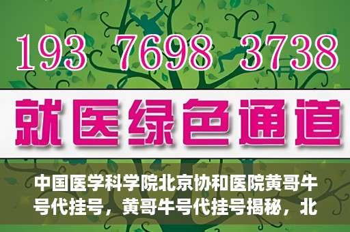中国医学科学院北京协和医院黄哥牛号代挂号，黄哥牛号代挂号揭秘，北京协和医院挂号背后的故事