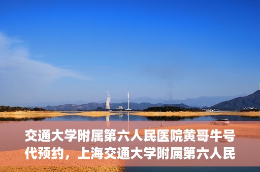 交通大学附属第六人民医院黄哥牛号代预约，上海交通大学附属第六人民医院黄哥牛号预约服务启动