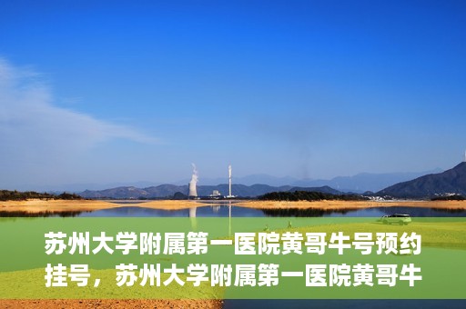苏州大学附属第一医院黄哥牛号预约挂号，苏州大学附属第一医院黄哥牛号，预约挂号攻略
