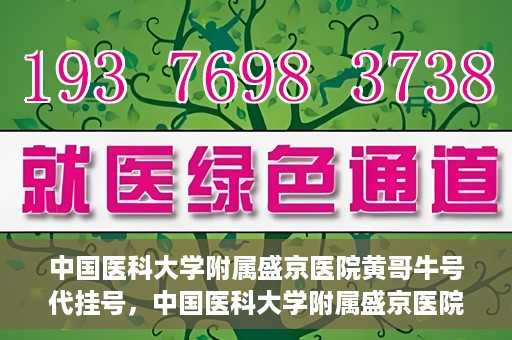 中国医科大学附属盛京医院黄哥牛号代挂号，中国医科大学附属盛京医院黄哥牛号代挂号背后的故事与真相揭秘