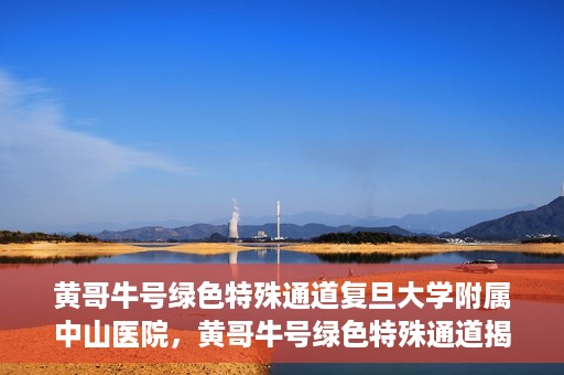 黄哥牛号绿色特殊通道复旦大学附属中山医院，黄哥牛号绿色特殊通道揭秘，复旦大学附属中山医院的独特之处