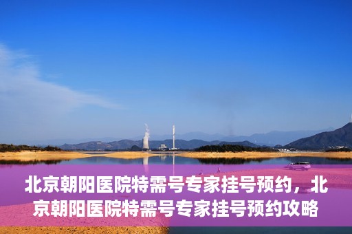 北京朝阳医院特需号专家挂号预约，北京朝阳医院特需号专家挂号预约攻略，一站式预约服务体验