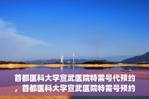 首都医科大学宣武医院特需号代预约，首都医科大学宣武医院特需号预约服务详解