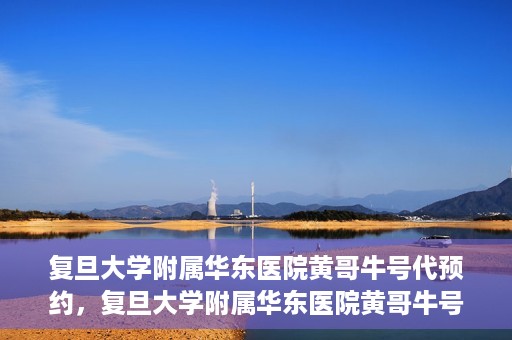 复旦大学附属华东医院黄哥牛号代预约，复旦大学附属华东医院黄哥牛号预约服务解析