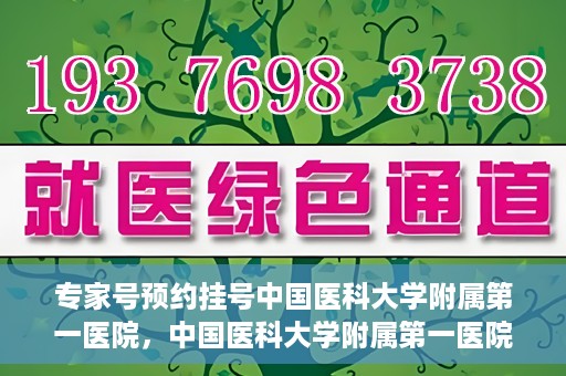 专家号预约挂号中国医科大学附属第一医院，中国医科大学附属第一医院专家号预约挂号攻略