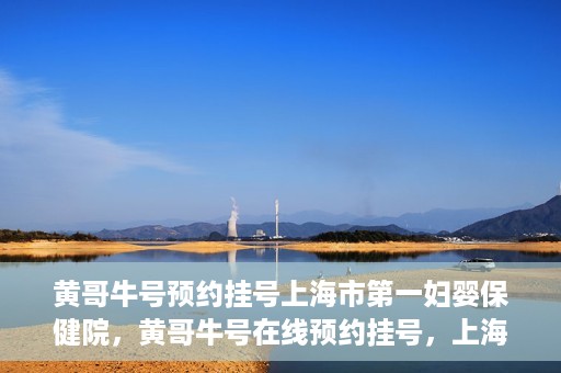 黄哥牛号预约挂号上海市第一妇婴保健院，黄哥牛号在线预约挂号，上海市第一妇婴保健院的便捷就医之旅
