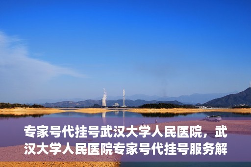 专家号代挂号武汉大学人民医院，武汉大学人民医院专家号代挂号服务解析