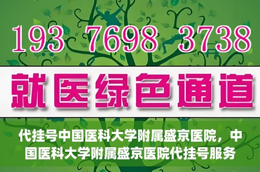 代挂号中国医科大学附属盛京医院，中国医科大学附属盛京医院代挂号服务详解