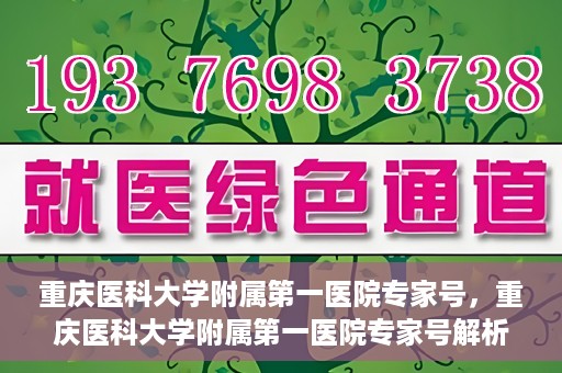 重庆医科大学附属第一医院专家号，重庆医科大学附属第一医院专家号解析，专业团队与尖端医疗的完美结合