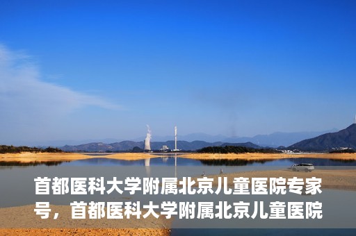首都医科大学附属北京儿童医院专家号，首都医科大学附属北京儿童医院专家号解析，权威医疗团队的专业解读与诊疗服务