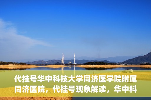 代挂号华中科技大学同济医学院附属同济医院，代挂号现象解读，华中科技大学同济医学院附属同济医院的医疗管理与挑战