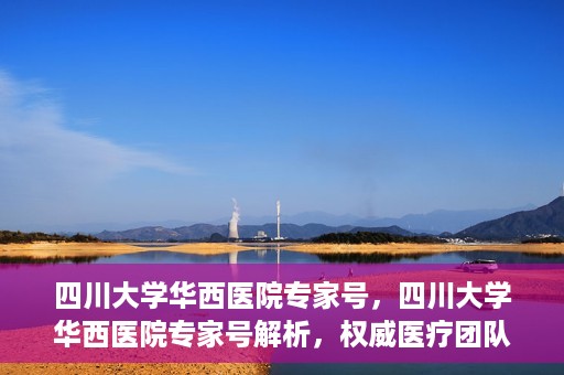 四川大学华西医院专家号，四川大学华西医院专家号解析，权威医疗团队与尖端诊疗技术共筑健康防线
