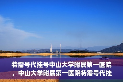 特需号代挂号中山大学附属第一医院，中山大学附属第一医院特需号代挂号服务解析