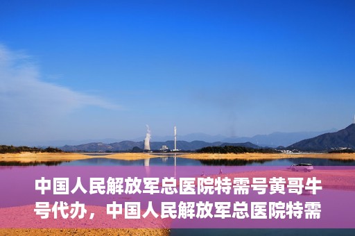 中国人民解放军总医院特需号黄哥牛号代办，中国人民解放军总医院特需号黄哥牛号代办服务详解