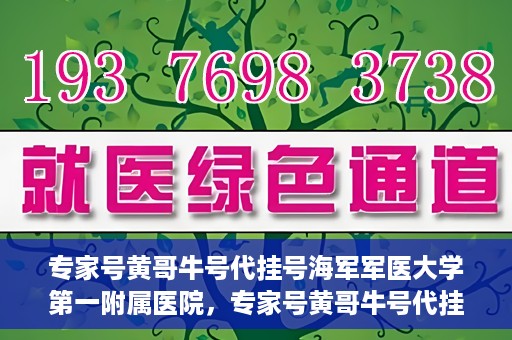 专家号黄哥牛号代挂号海军军医大学第一附属医院，专家号黄哥牛号代挂号背后的故事，海军军医大学第一附属医院深度解析