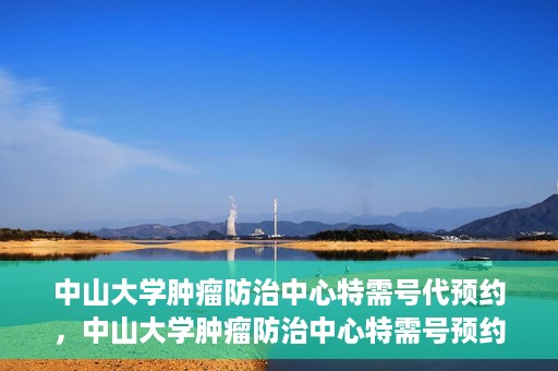 中山大学肿瘤防治中心特需号代预约，中山大学肿瘤防治中心特需号预约服务详解