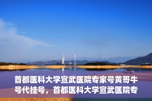 首都医科大学宣武医院专家号黄哥牛号代挂号，首都医科大学宣武医院专家黄哥牛号代挂号解读，权威医疗资源的深度剖析