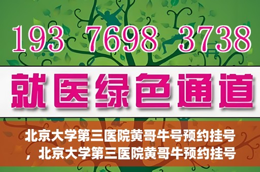 北京大学第三医院黄哥牛号预约挂号，北京大学第三医院黄哥牛预约挂号攻略，轻松预约专家号