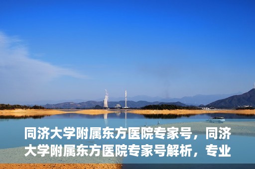 同济大学附属东方医院专家号，同济大学附属东方医院专家号解析，专业医疗服务的深度解读