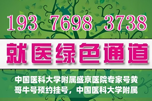 中国医科大学附属盛京医院专家号黄哥牛号预约挂号，中国医科大学附属盛京医院专家黄哥牛号预约挂号攻略