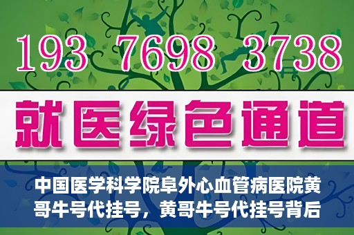 中国医学科学院阜外心血管病医院黄哥牛号代挂号，黄哥牛号代挂号背后的故事，阜外心血管病医院的探索与挑战