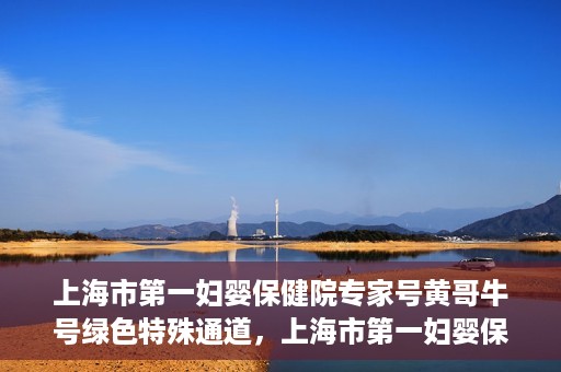 上海市第一妇婴保健院专家号黄哥牛号绿色特殊通道，上海市第一妇婴保健院的绿色特殊通道专家号黄哥牛号——母婴健康的守护者