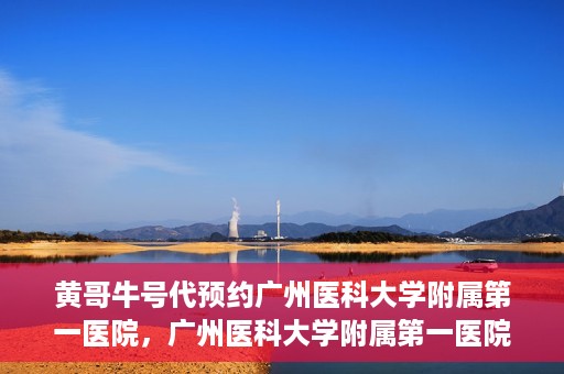 黄哥牛号代预约广州医科大学附属第一医院，广州医科大学附属第一医院黄哥牛号预约启动