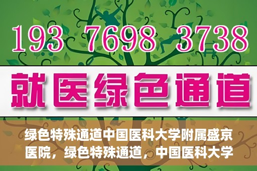 绿色特殊通道中国医科大学附属盛京医院，绿色特殊通道，中国医科大学附属盛京医院的探索与实践