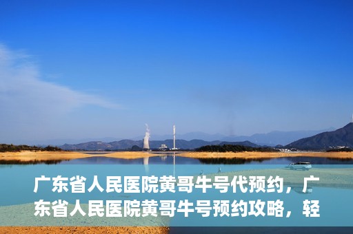 广东省人民医院黄哥牛号代预约，广东省人民医院黄哥牛号预约攻略，轻松掌握预约流程
