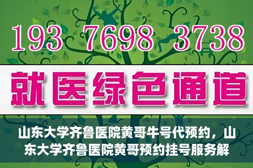 山东大学齐鲁医院黄哥牛号代预约，山东大学齐鲁医院黄哥预约挂号服务解析